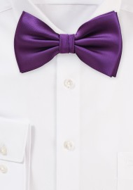 Bright Purple Bow Tie in Solid Color