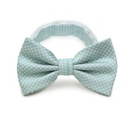 Men's Bow Tie in Mint Green