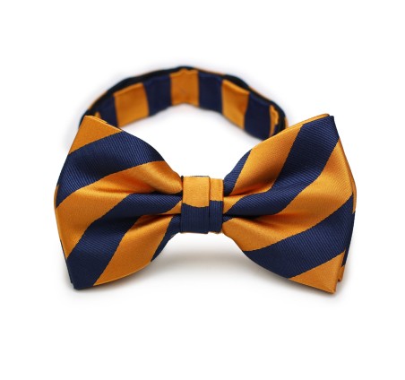 Orange and Navy Striped Bow Tie