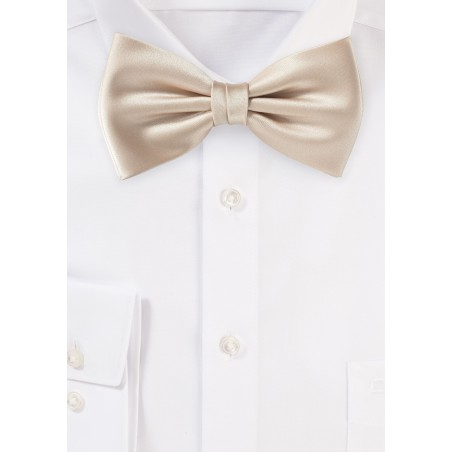 Bow Tie in Golden Champagne