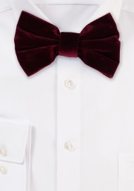 Large Butterfly Velvet Bow Tie in Burgundy Red