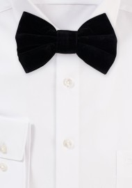Large Butterfly Velvet Bow Tie in Black