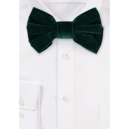 Large Butterfly Velvet Bow Tie in Hunter Green
