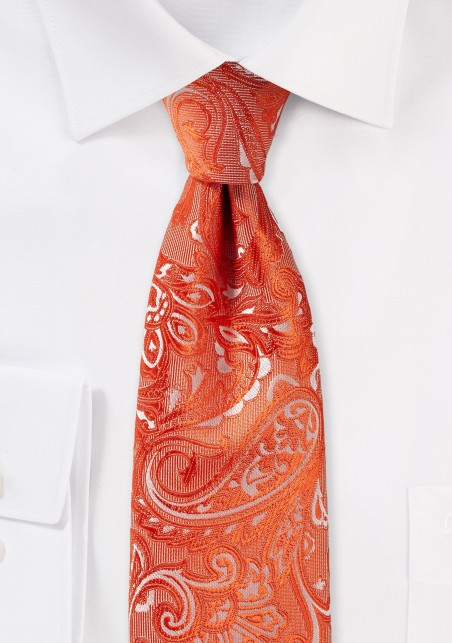 Tiger Lilly Paisley Tie
