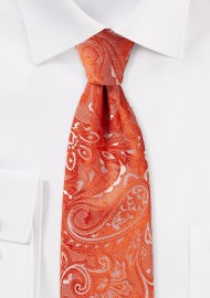 Tiger Lilly Paisley Tie