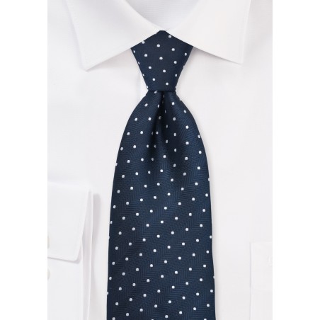 Navy & Silver Polka Dot Tie
