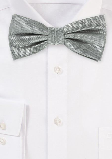 Dress Bow Tie in Formal Gray