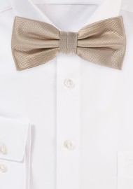 Formal Golden Mens Bow Tie