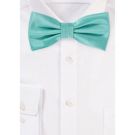 Beachy Wedding Bow Tie in Spa