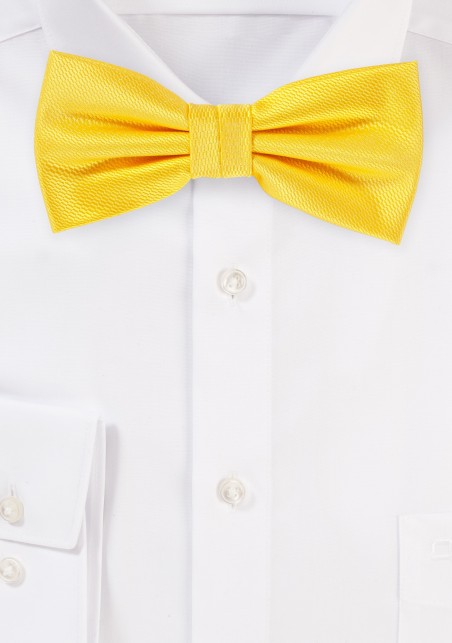 Formal Bow Tie in Daffodil