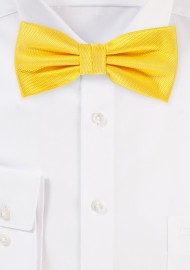 Formal Bow Tie in Daffodil