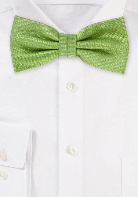 Kiwi Green Bow Tie