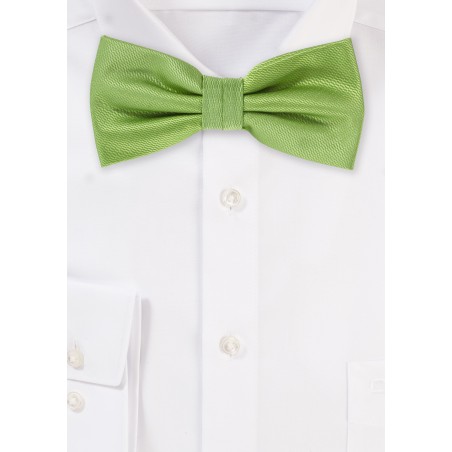 Kiwi Green Bow Tie
