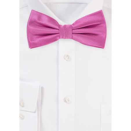 Dress Bow Tie in Begonia