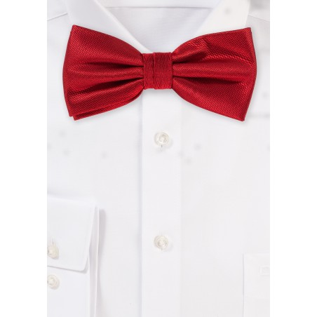 Elegant Dress Bow Tie in Cherry