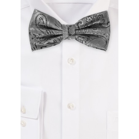 Dressy Paisley Design Bow Tie in Mercury