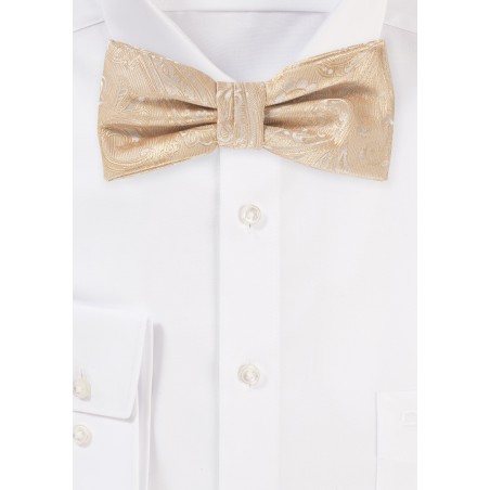 Paisley Bow in Golden Champagne