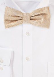 Paisley Bow in Golden Champagne