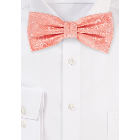 Bellini Pink Mens Paisley Bow Tie