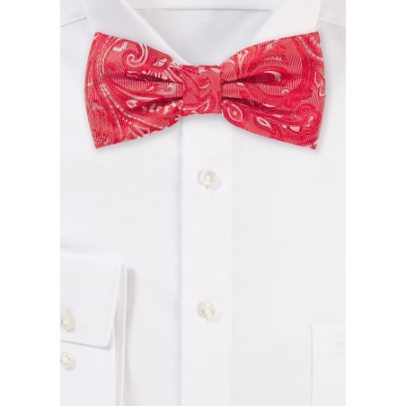 Dressy Paisley Bowtie in Poppy