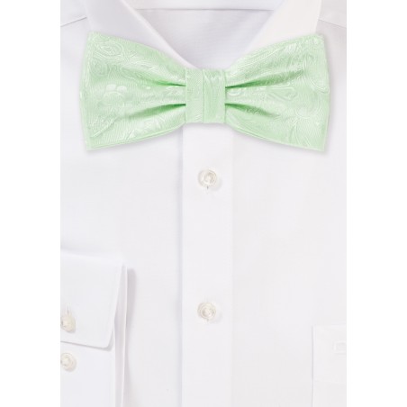 Pastel Green Paisley Bow Tie