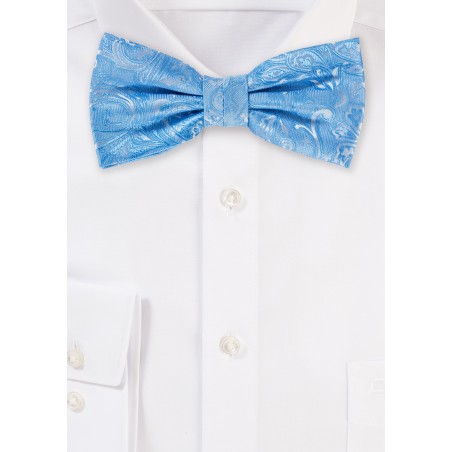 Paisley Bow Tie in Blue Jay Blue