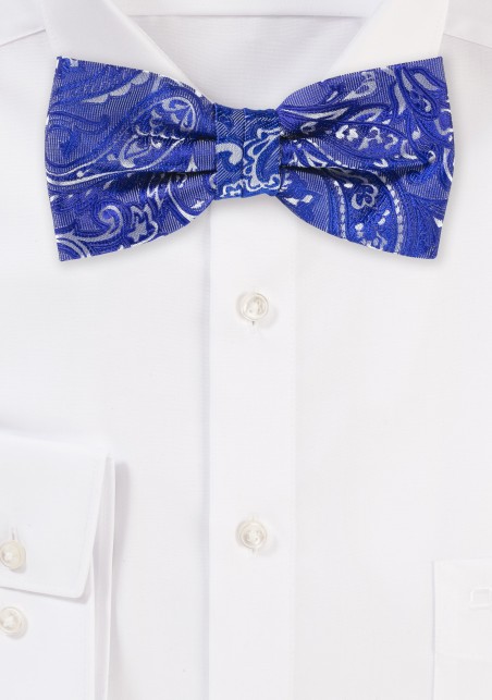 Morning Glory Blue Paisley Bow Tie