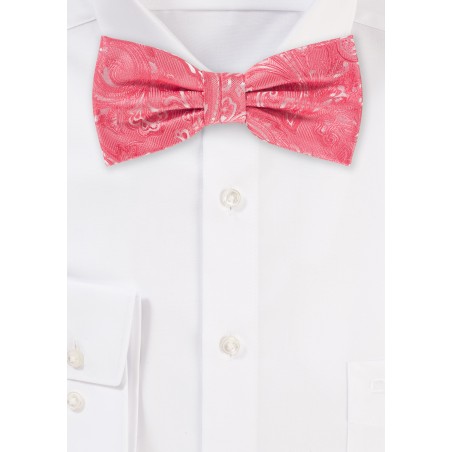 Paisley Mens Bow Tie in Coral