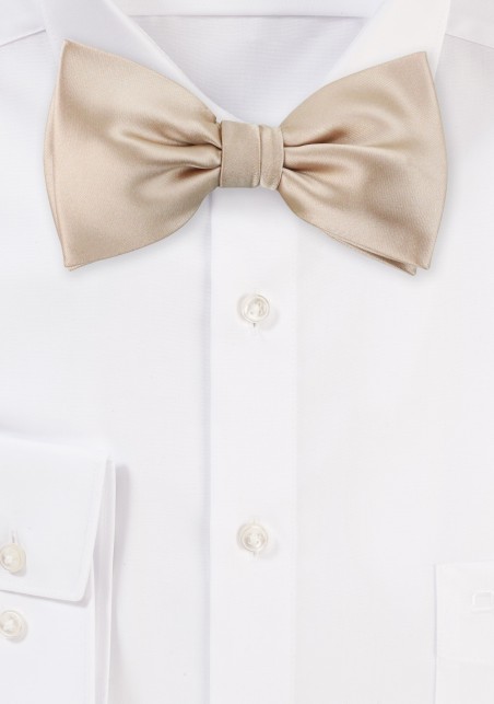 Bow Tie in Champagne