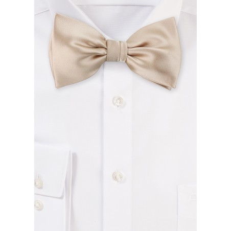 Bow Tie in Champagne