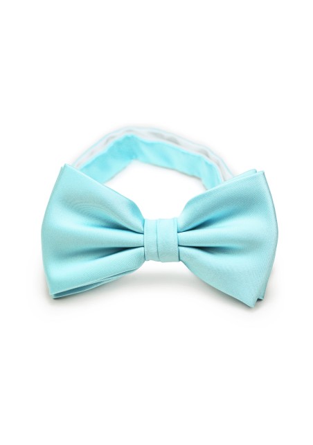 Pool Blue Bow Tie