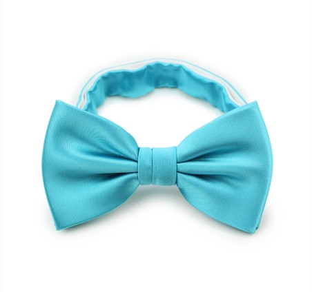 Bold Aqua Bow Tie
