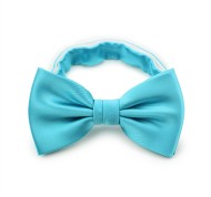 Bold Aqua Bow Tie