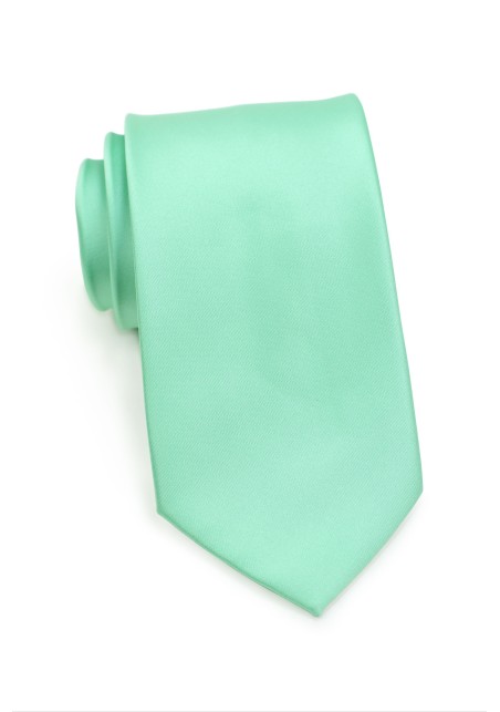 Shiny Mint Colored Necktie