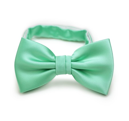 Mint Hued Bow Tie