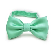 Mint Hued Bow Tie