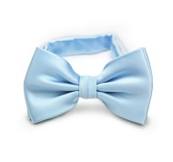 Powder Blue Bow Tie