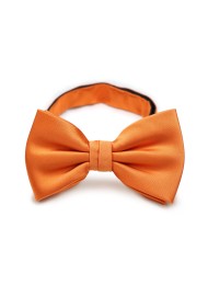 Persimmon Orange Bow Tie