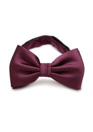 Plum Bow Tie