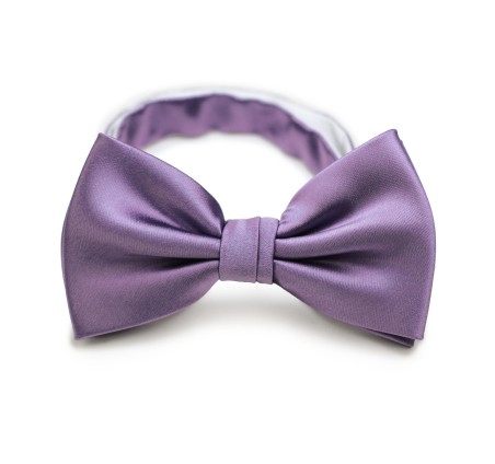 Wisteria Satin Bow Tie