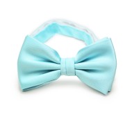Pool Blue Bow Tie