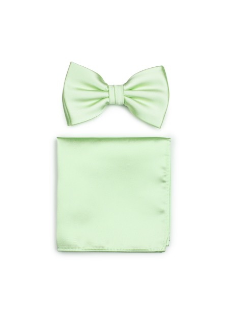 Mens Bow Tie Set in Wintermint
