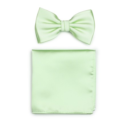 Mens Bow Tie Set in Wintermint