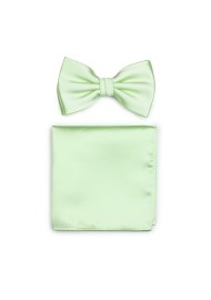 Mens Bow Tie Set in Wintermint