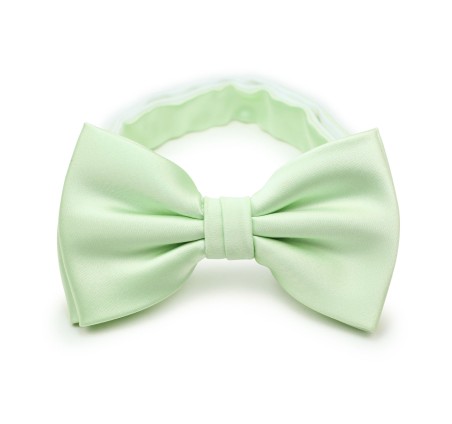 Mens Bow Tie in Wintermint