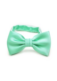 Shiny Mint Bow Tie