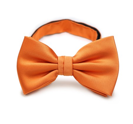 Persimmon Orange Bow Tie