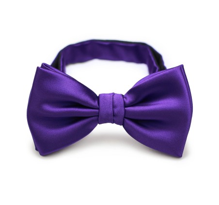 Regency Purple Bow Tie