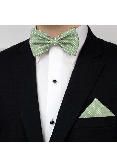 Sage Bowtie and Hanky Set with Pin Dots Styled