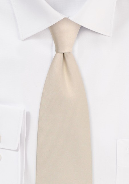 Solid Satin Tie in Champagne